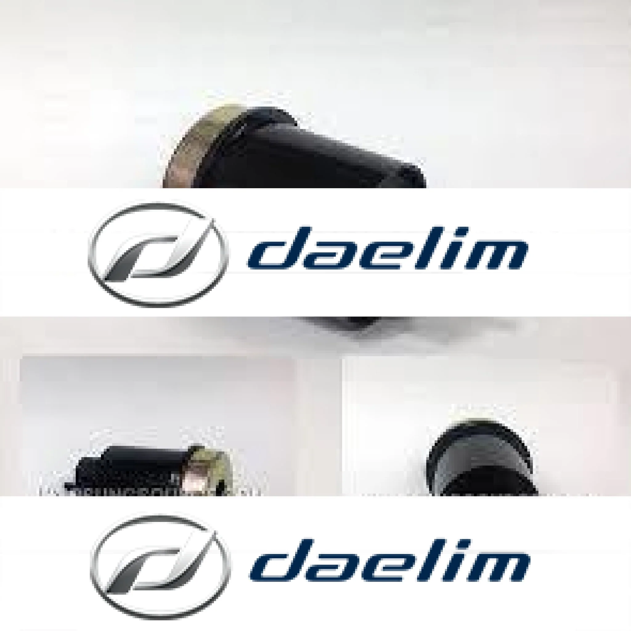 Daelim VL 125 VL 250 (Daystar)